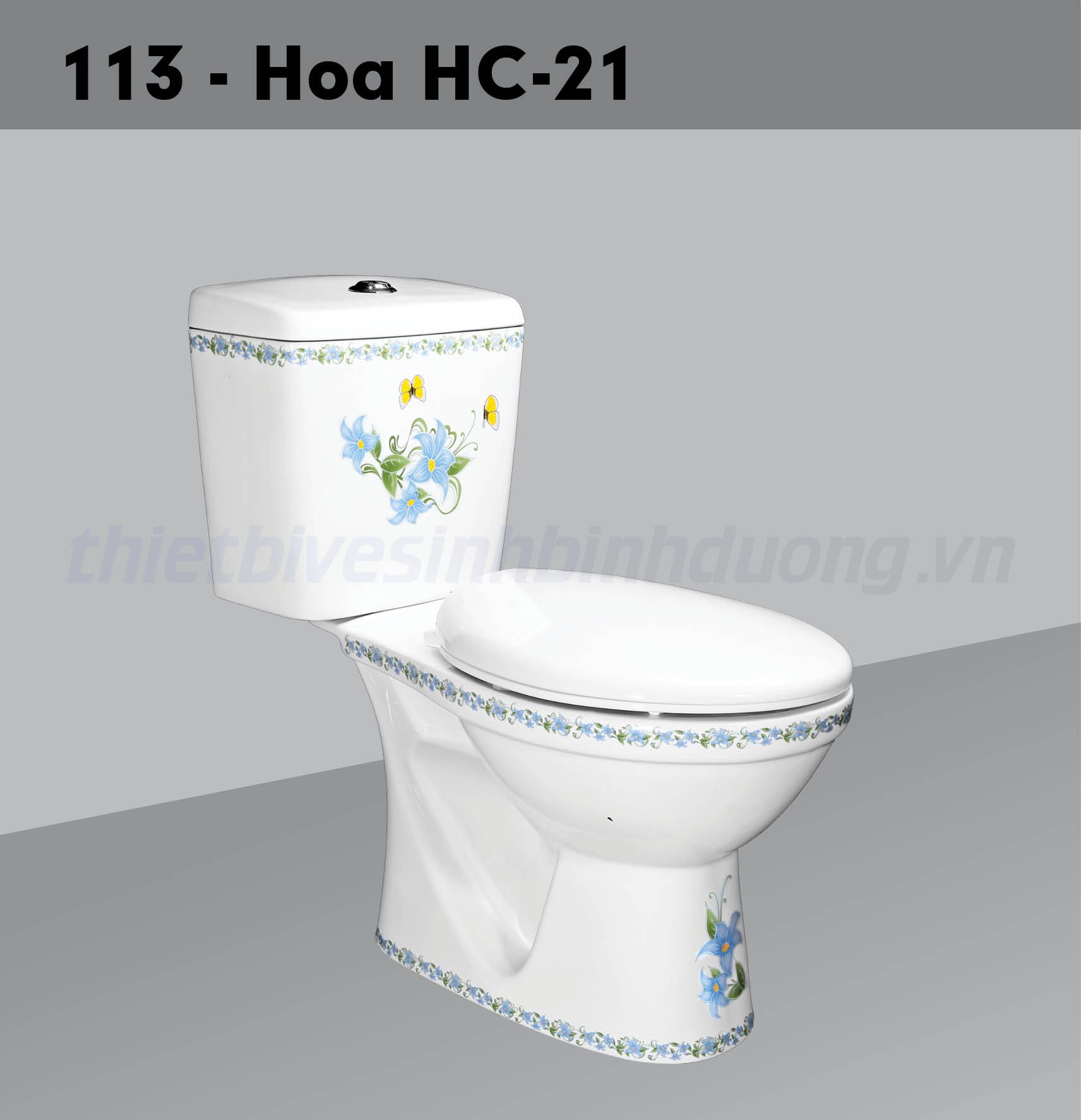 Bồn cầu sứ Hảo Cảnh HC V113